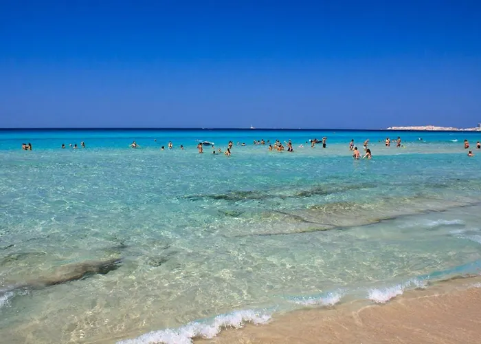 Red Con Spazio Esterno A 50 Metri Dalla Gallipoli